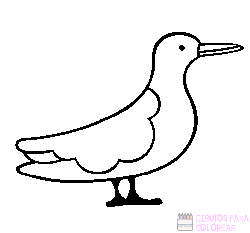 🥇 Dibujos de Aves【+250】Lindos y faciles