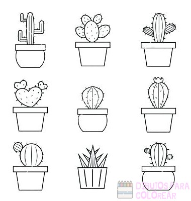 ᐈ Dibujos de cactus【+1000】Para colorear Hoy