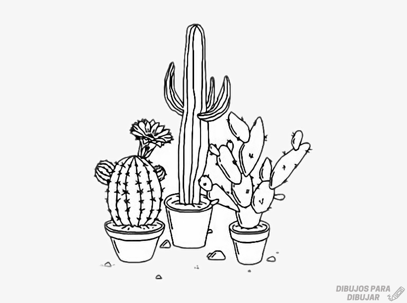 Featured image of post Plantas Tumblr Para Colorear Desenhos tumblr para imprimir desenhos de bonecas tumblr fotos tumblr desenhos desenhos de caras desenhos tumblrs desenhos de meninas desenhos bonitos menina tumblr desenho