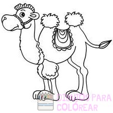 imagenes de camellos animados