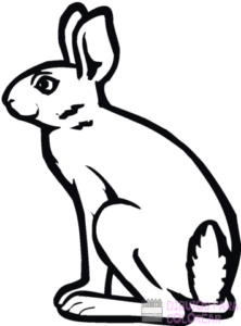 imagenes de conejos para dibujar