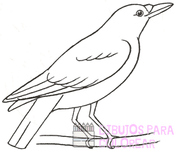 🥇 Dibujos de cuervos【+250】faciles para colorear