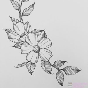 imagenes de flores para imprimir