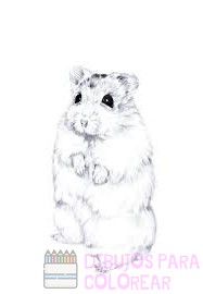 imagenes de hamster para dibujar
