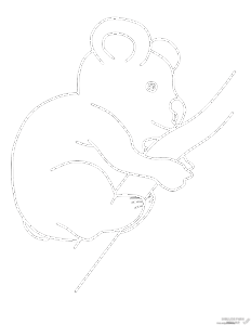 imagenes de koalas tiernos 1