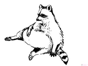 imagenes de mapaches en caricatura