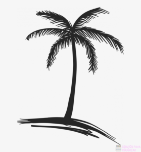 imagenes de paisajes con palmeras