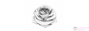imagenes de ramos de rosas