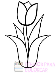 imagenes de tulipanes para colorear