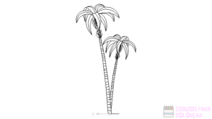 imagenes palmeras playa