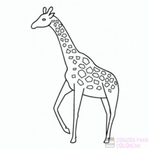 jirafa caricatura