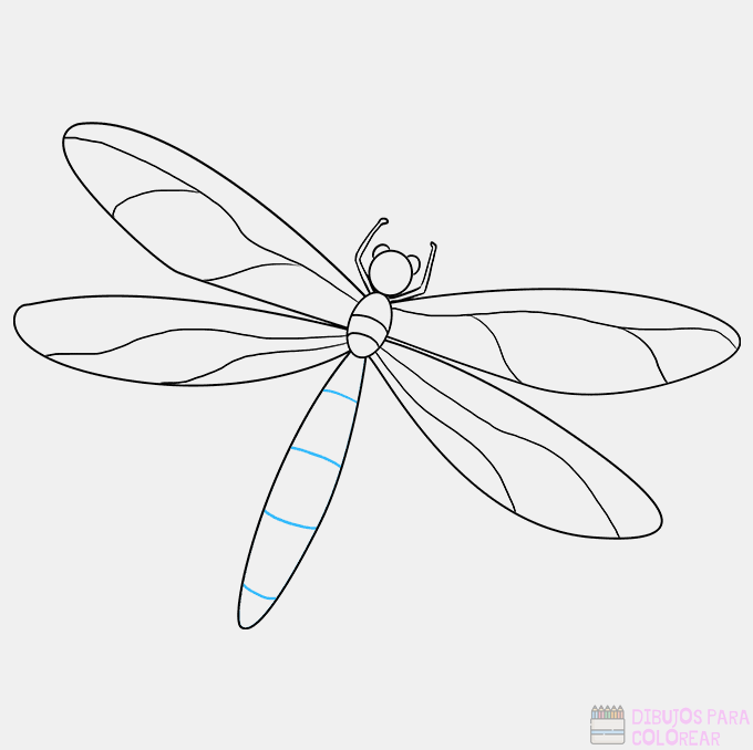 🥇 Dibujos de libélulas【+250】rapidos para colorear
