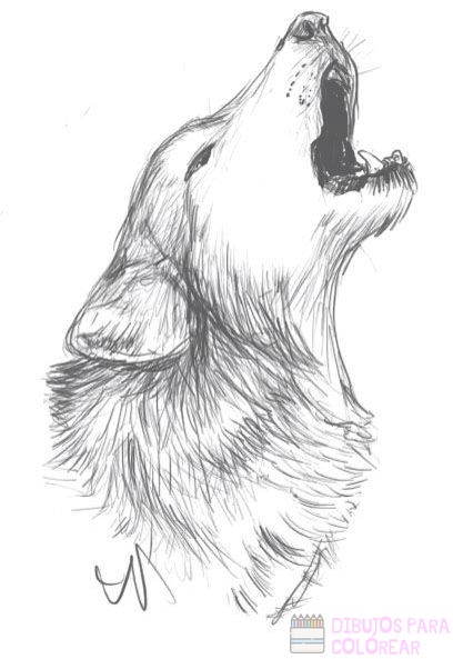 ? Dibujos de lobos【+250】rapidos para colorear