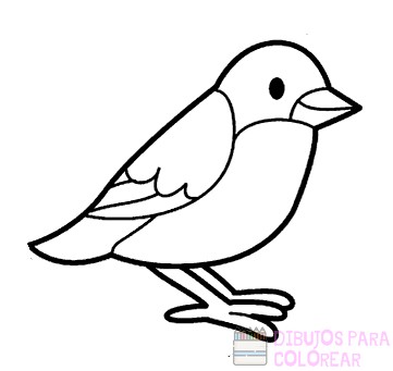 🥇 Dibujos de Aves【+250】Lindos y faciles