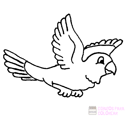 ???? Dibujos de Aves【+250】Lindos y faciles