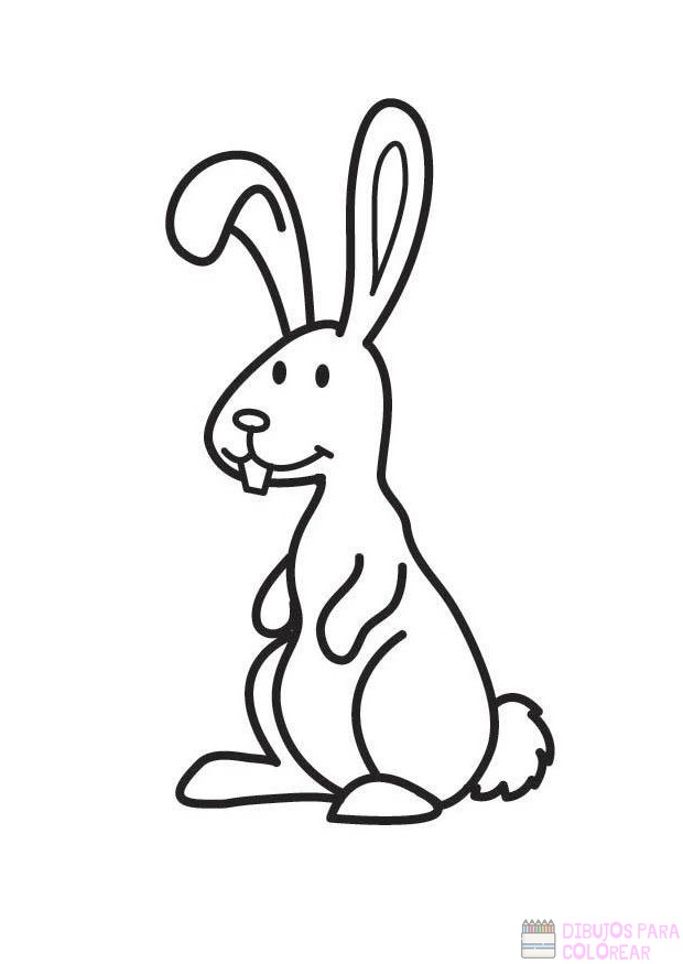 磊 Dibujos de Conejos【+250】faciles para colorear