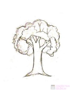 tronco de arbol dibujo