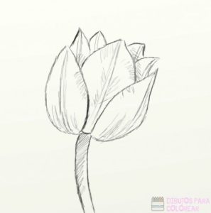 tulipanes para pintar al oleo