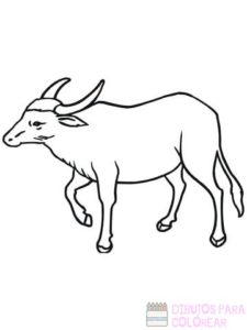 un dibujo de un toro