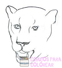 caricaturas de la pantera rosa en español