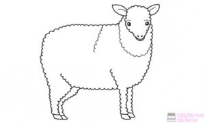 caricaturas de ovejas