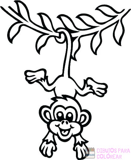 🥇【+2750】Los mejores dibujos de Monos para colorear ⚡️