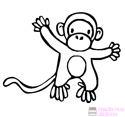  🥇【  】Los mejores dibujos de Monos para colorear ⚡️