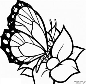 como pintar una mariposa