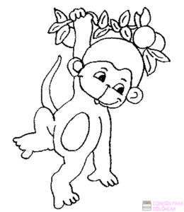 dibujos de monkey 1
