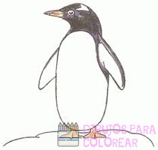 dibujos de pinguinos para calcar