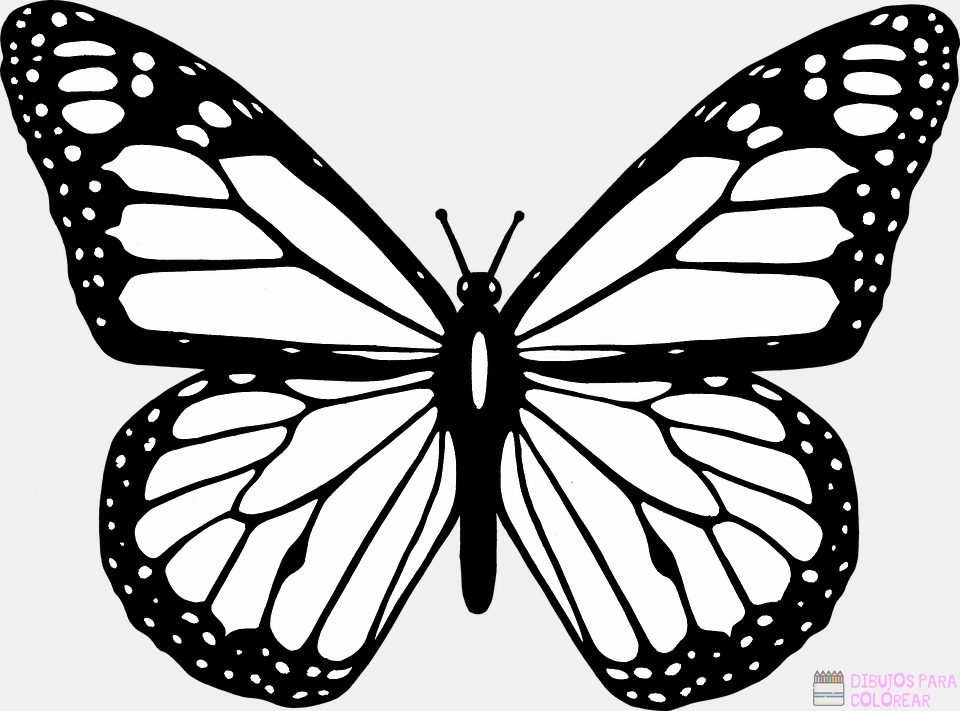 Featured image of post Mariposas Png Para Colorear - Cuando se reproducen en grandes cantidades.