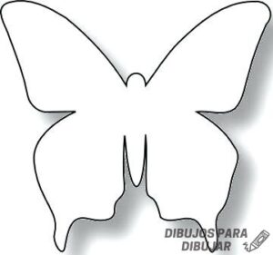 imagenes de mariposas hermosas
