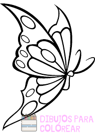 🥇【+2750】Los mejores dibujos de Mariposas para colorear ⚡️