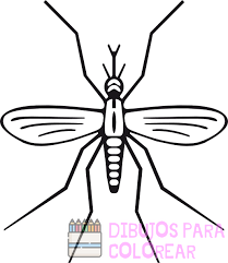 imagenes de mosquitos animados