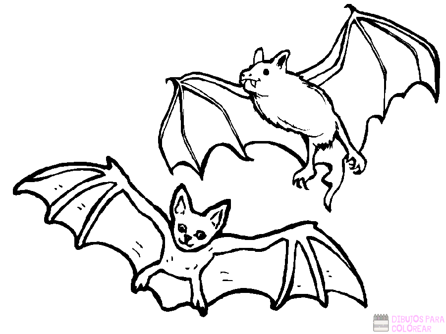????【+2750】Los mejores dibujos de Murciélagos para colorear ⚡️