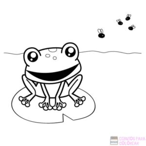 imagenes de ranas para dibujar