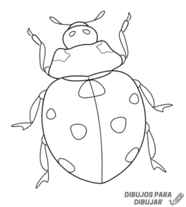 mariquita para niños