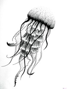 medusa imagen