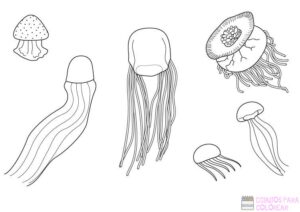 medusa para pintar