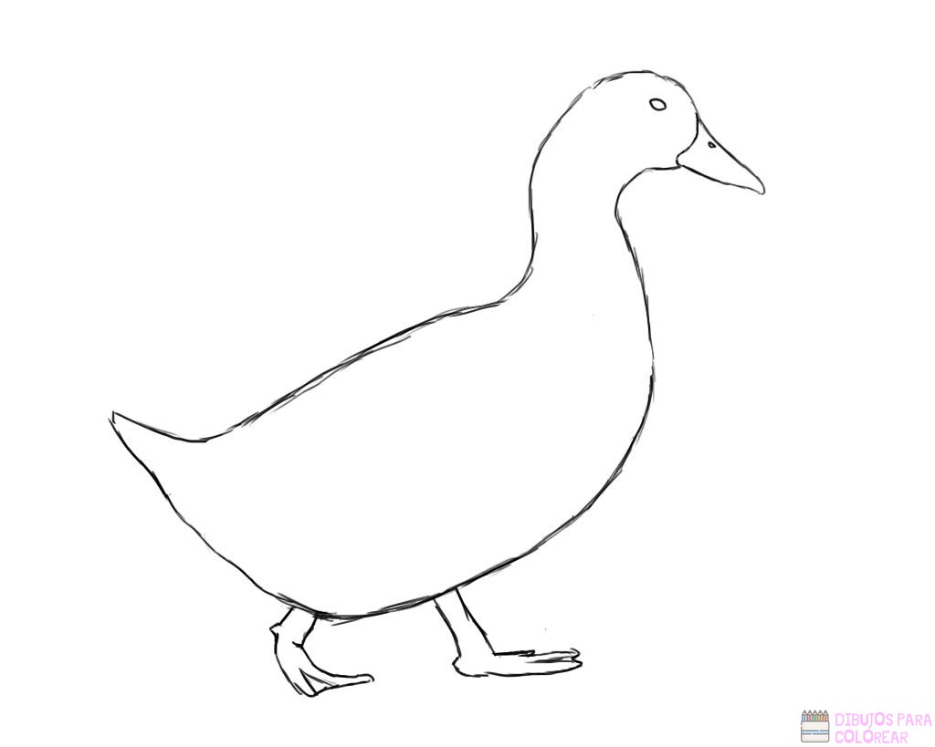 🥇【+2750】Los mejores dibujos de patos para colorear ⚡️