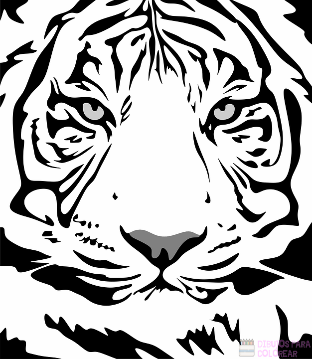 磊【+2750】Los mejores dibujos de Tigres para colorear ⚡️