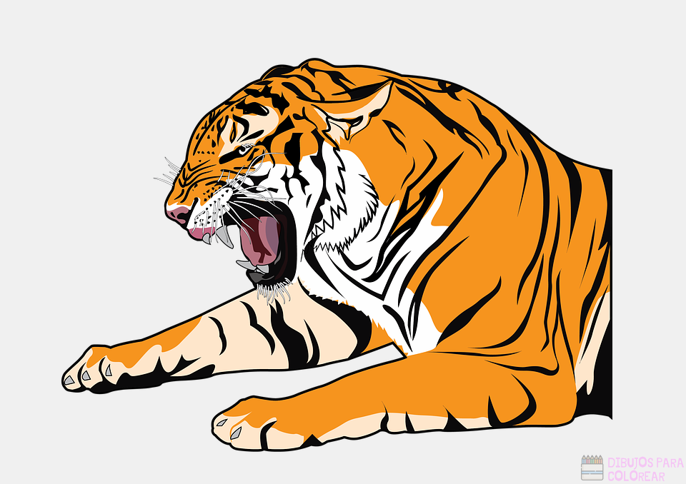 ????【+2750】Los mejores dibujos de Tigres para colorear ⚡️