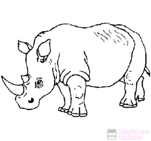 caricatura de rinoceronte
