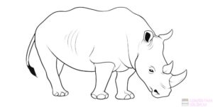 como dibujar un rinoceronte para ninos