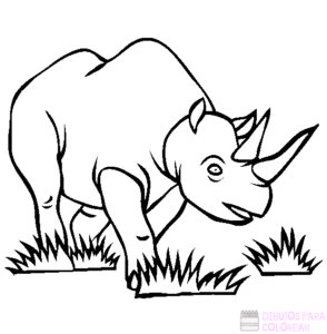como dibujar un rinoceronte paso a paso