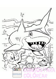 como dibujar un tiburon blanco
