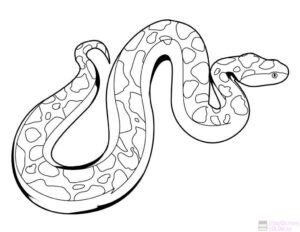 dibujos de serpientes para ninos scaled 1