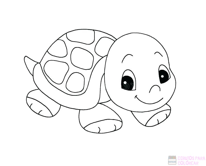 🥇【+2750】Los mejores dibujos de Tortugas para colorear ⚡️