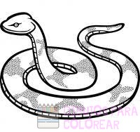 imagenes de serpientes para colorear
