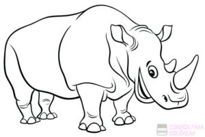 rinoceronte arte